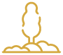Terrain